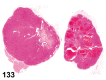 Figure 133.