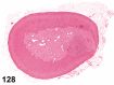Figure 128.