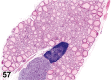 Figure 57.