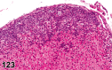 Figure 123.