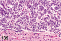 Figure 139.