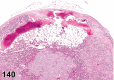 Figure 140.