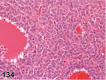 Figure 134.