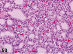 Figure 50.