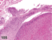 Figure 105.