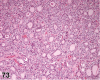 Figure 73.
