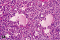 Figure 14.