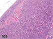 Figure 109.