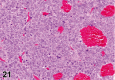 Figure 21.