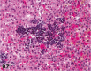 Figure 97.