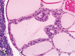 Figure 61.