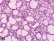 Figure 48.