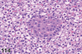 Figure 114.