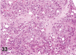 Figure 33.