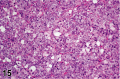 Figure 15.