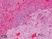 Figure 130.