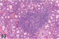Figure 53.