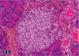 Figure 149.