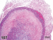 Figure 107.
