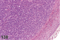Figure 138.