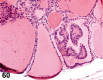 Figure 60.