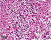 Figure 104.