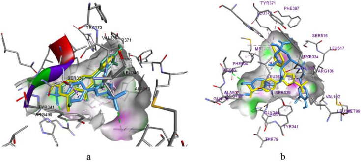 Figure 6