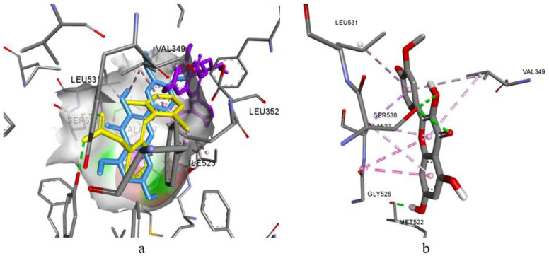 Figure 5