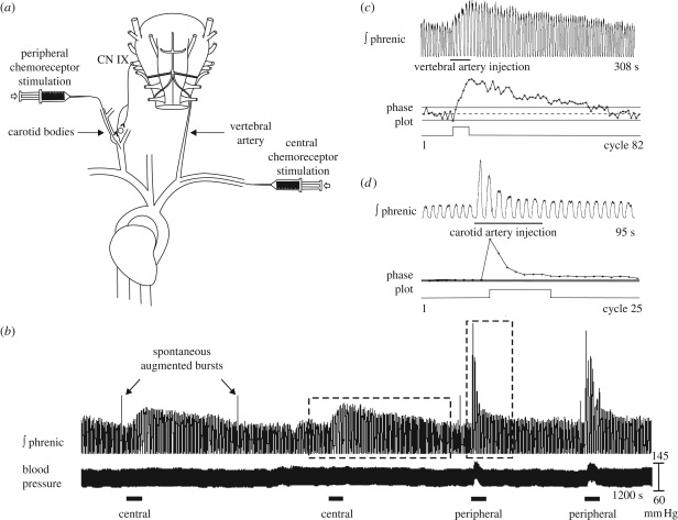 Figure 1.