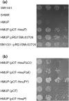 Fig. 4.