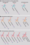 <sc>Fig</sc>. 3.