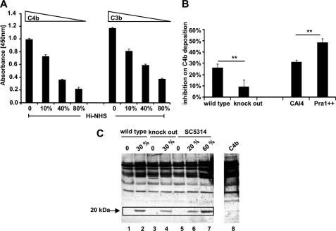 FIGURE 9.