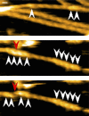 Figure 3—figure supplement 4.