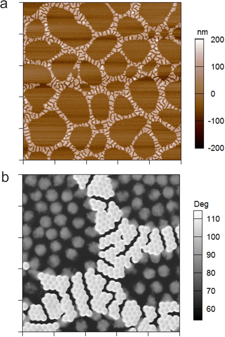 Fig 8