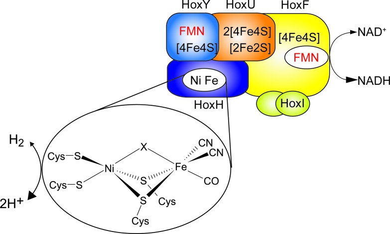 Fig. 1