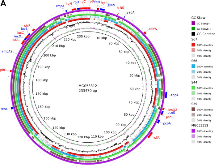 FIG 1