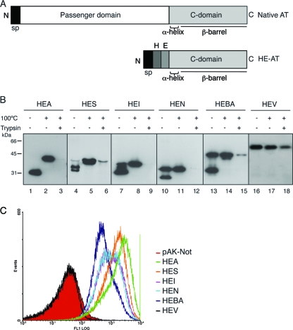 FIG. 2.