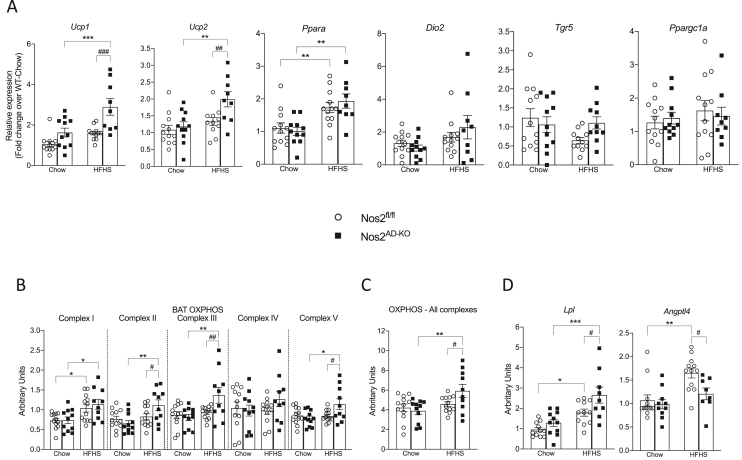 Figure 6