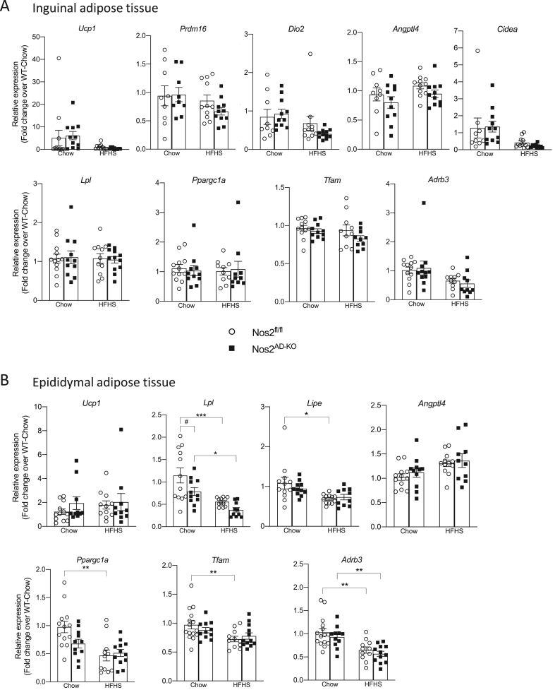 Figure 7