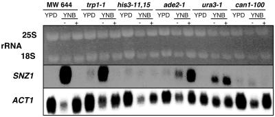 FIG. 6