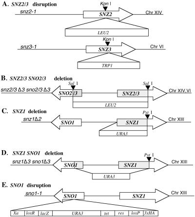 FIG. 1