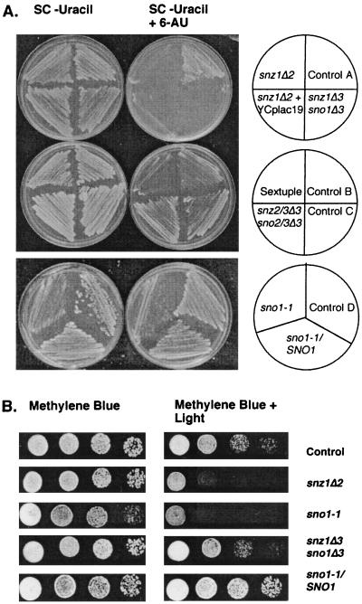 FIG. 7