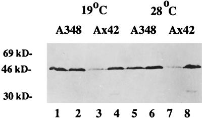 FIG. 6