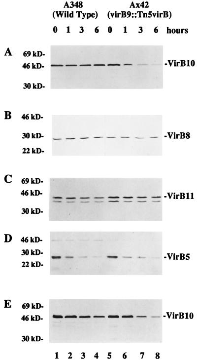 FIG. 7