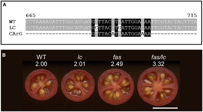 Figure 5