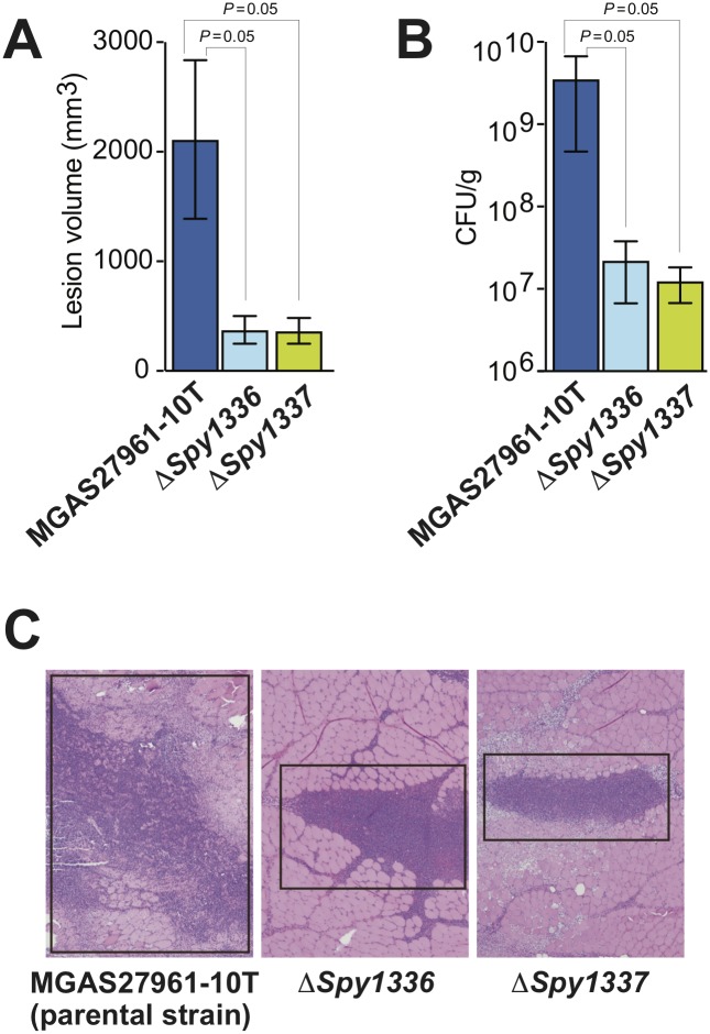 Fig 7