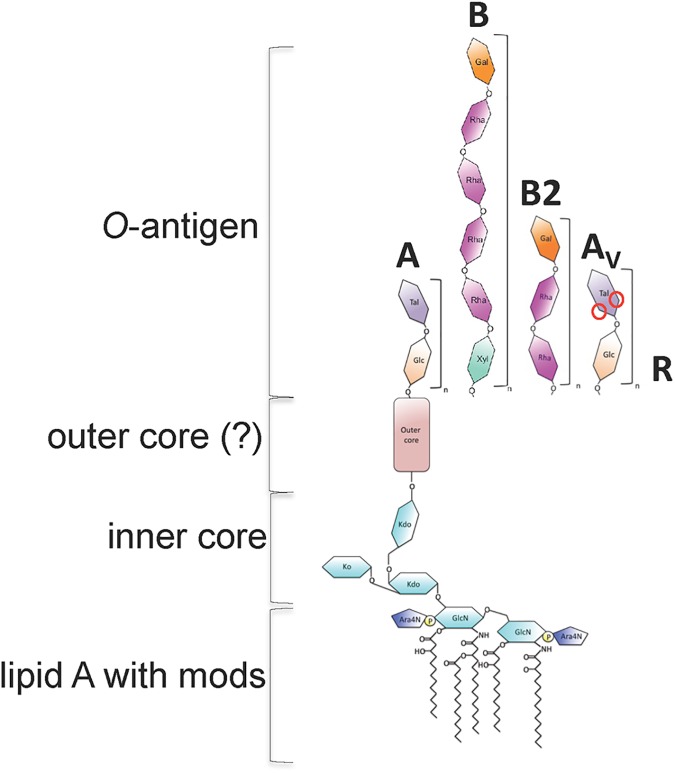 Fig 1