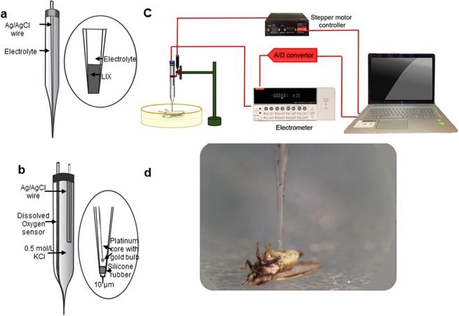 Figure 7