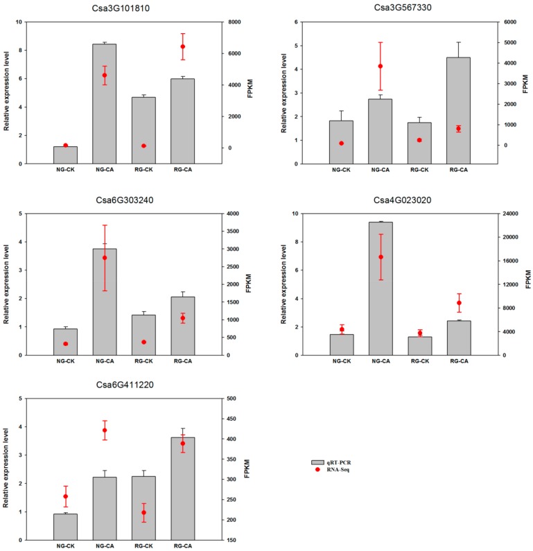 Figure 6