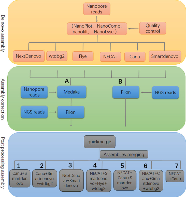 Figure 4